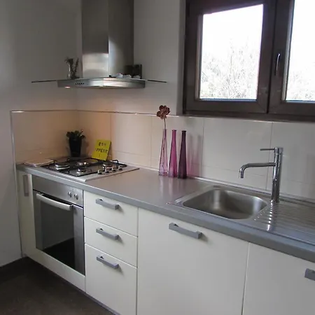 All You Need Holiday * Πούλα