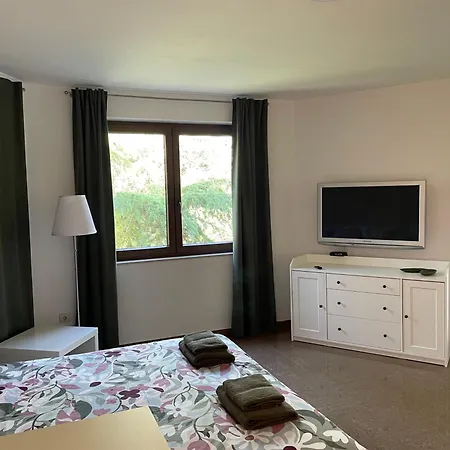 Apartment Need Pula