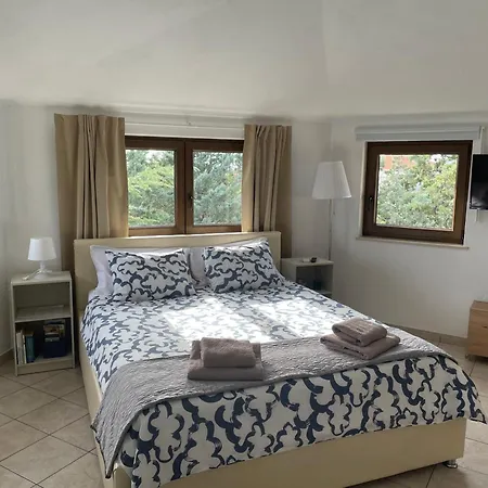 Apartment All You Need Holiday